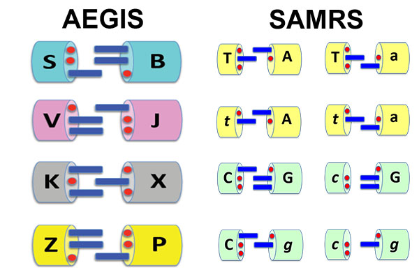 AEGIS and SAMRs Molecules
