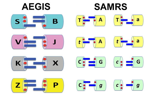 AEGIS and SAMRs Molecules