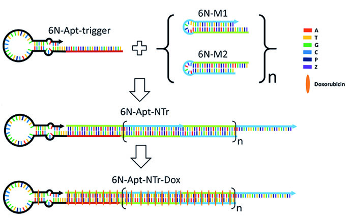 Large molecule therapeutics nanostructures