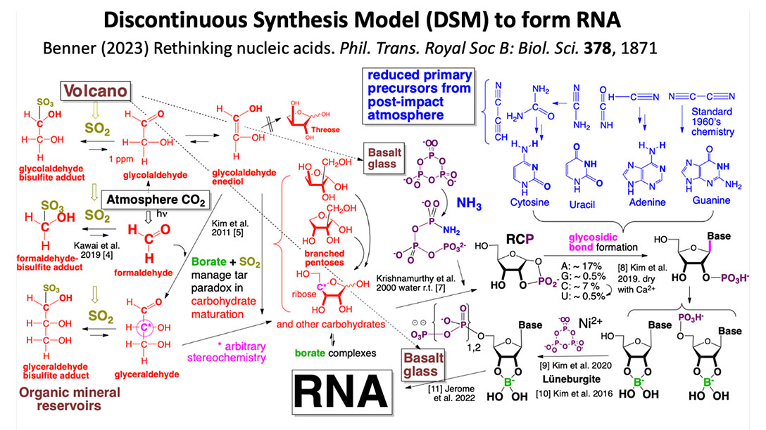 Origins of life discontinous model